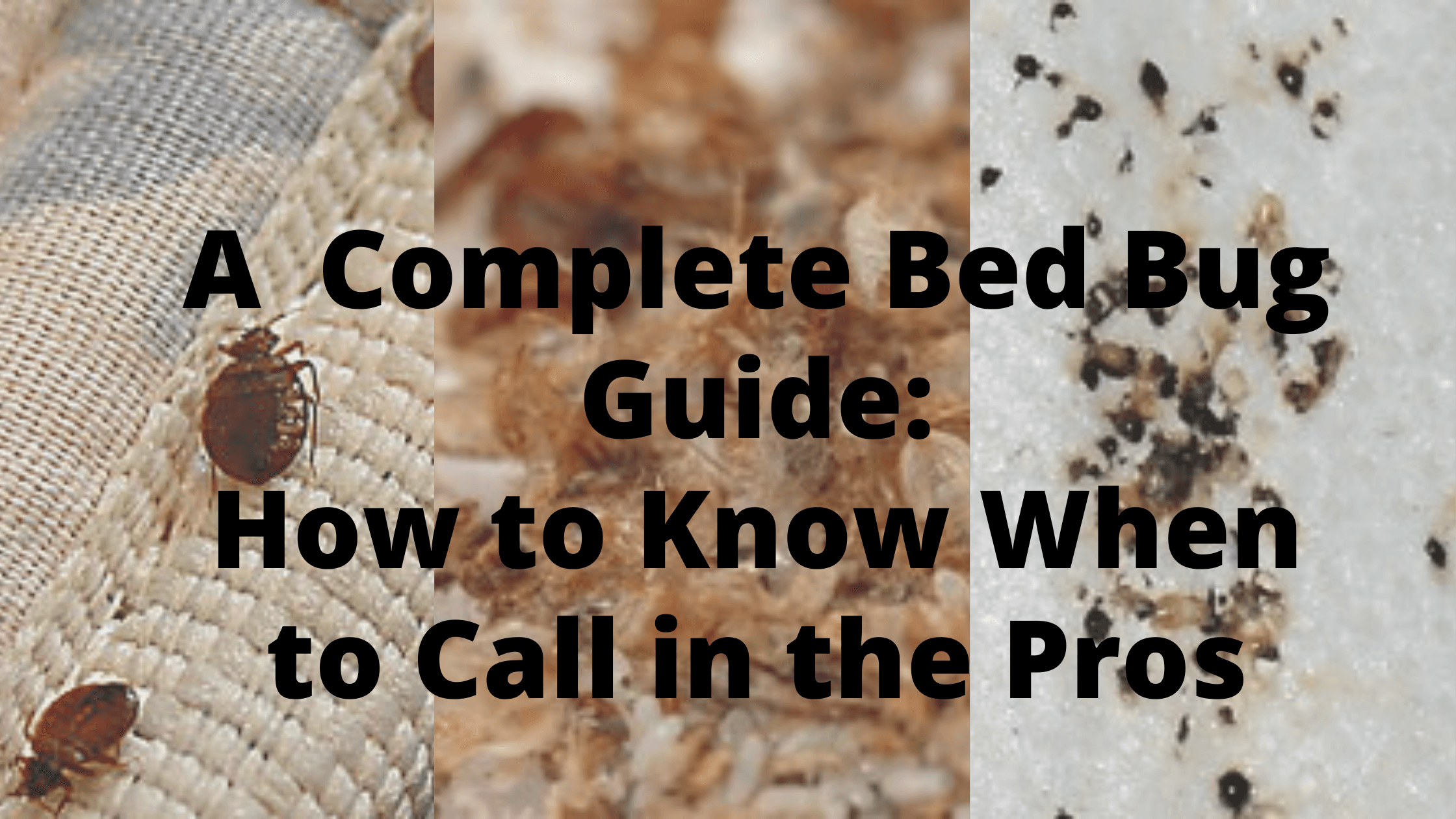 Prep List: Chemical Only Bed Bug Treatment