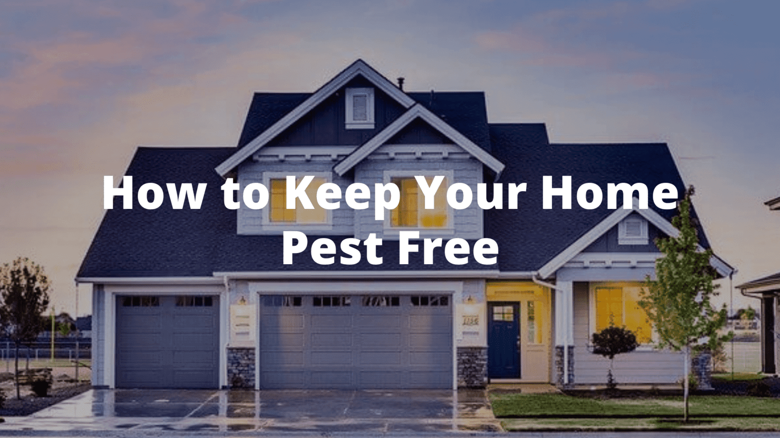 How To Keep Your Home Pest Free | Done Right Pest Solutions