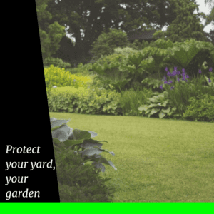 Image highlighting the importance of proven strategies for mosquito control to keep your yard mosquito free and enjoy outdoor activities without the buzz!