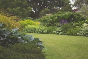 Effective strategies to keep your yard and gardens mosquito-free and enjoy outdoor activities without the buzz!