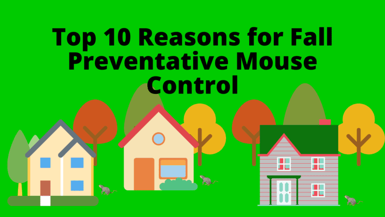 Image showcasing the top 10 reasons for fall preventative mouse control, keeping your space rodent-free.