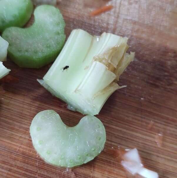 fruit fly control, fruit fly prevention, fruit flies in sink garbage disposal, how to get rid of bugs in garbage disposal