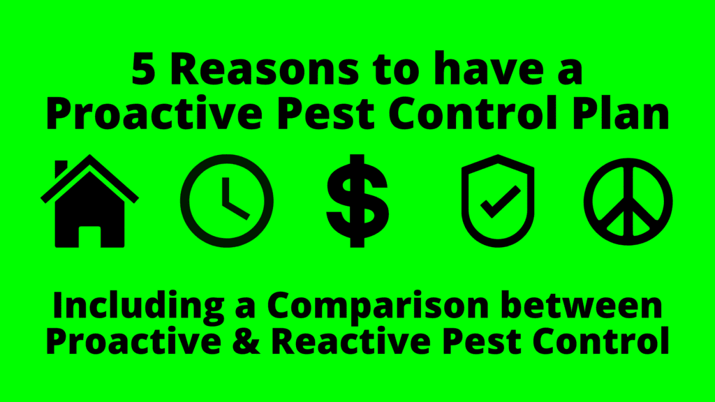 Image highlighting the benefits of proactive pest control, ensuring a pest-free and worry-free environment.