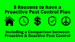 Image highlighting the benefits of proactive pest control, ensuring a pest-free and worry-free environment.