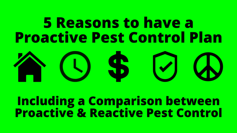 Image highlighting the benefits of proactive pest control, ensuring a pest-free and worry-free environment.