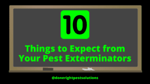 Graphic showcasing the top 10 things to expect from your pest exterminators and pest control technicians.