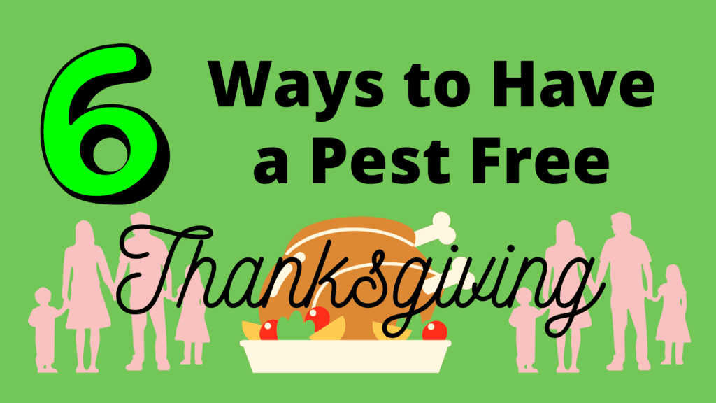 Image celebrating a pest-free Thanksgiving feast, grateful for a critter-free dining experience.