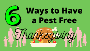 Image celebrating a pest-free Thanksgiving feast, grateful for a critter-free dining experience.