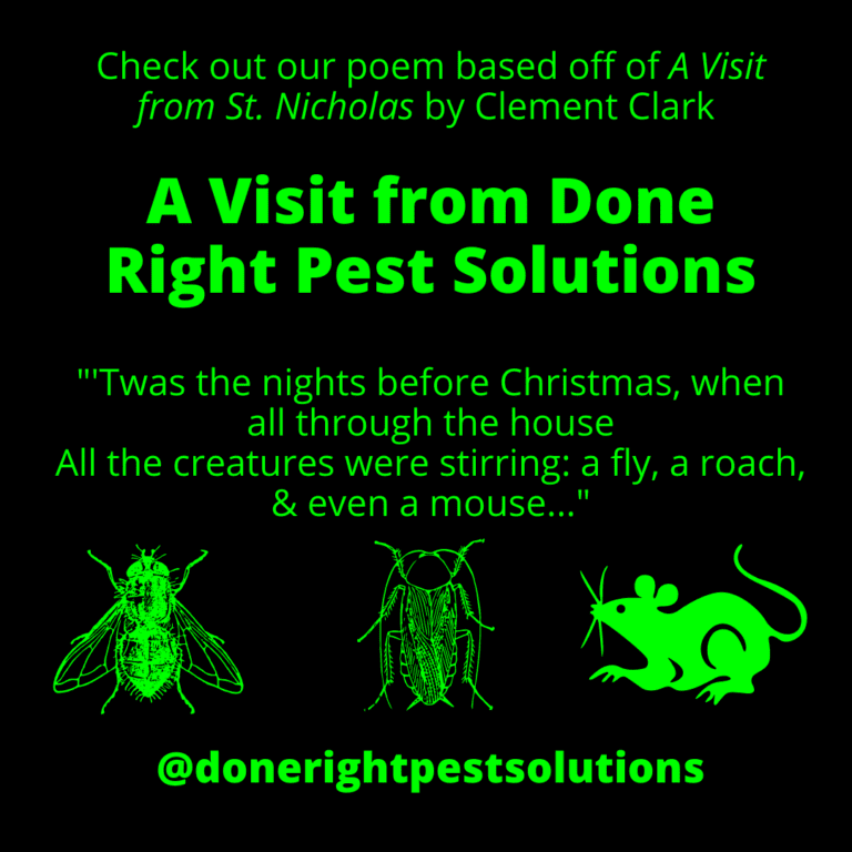 Image featuring a poetic ode to pest control, capturing the triumph over pesky critters with words.