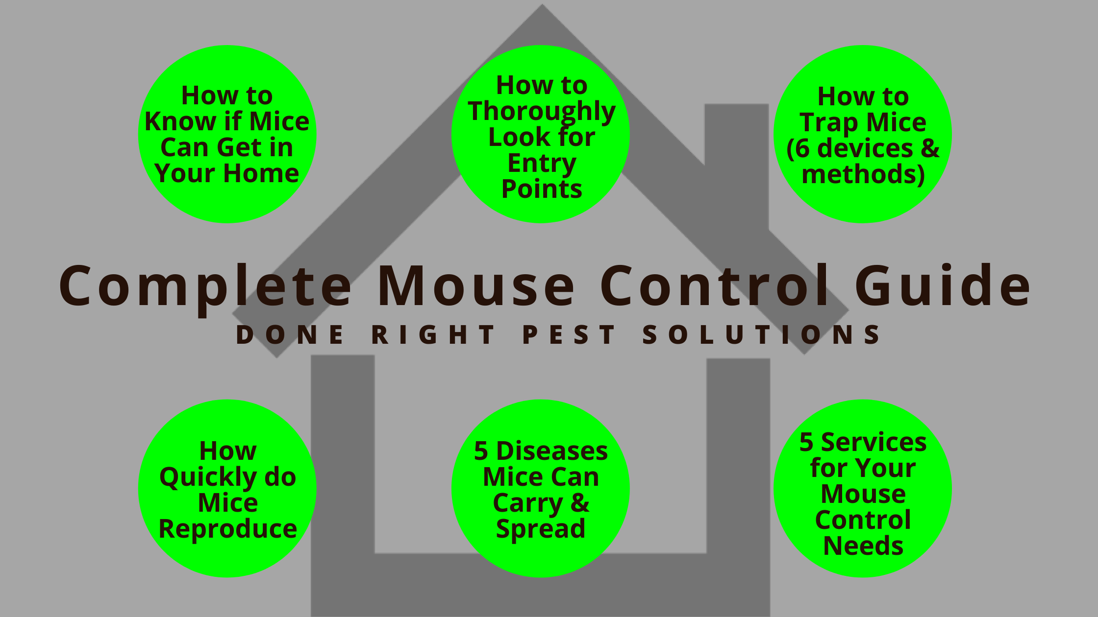 Pest Control Tips: 17 Insanely Simple Ways to Mouse Proof Your House