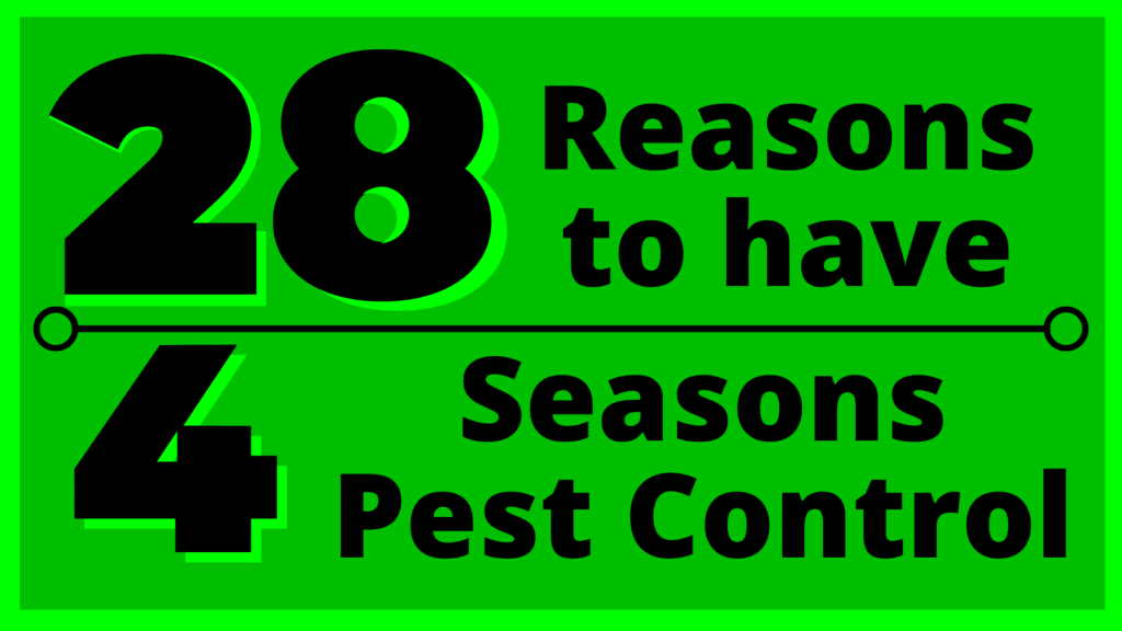 Image highlighting the benefits of proactive pest control, ensuring a pest-free and worry-free environment.