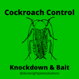 Image showcasing cockroach control services, getting rid of those pesky critters for good! Done Right Pest Solutions uses a knockdown product and bait to control cockroach reproduction quickly.