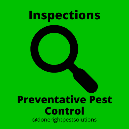 Image showcasing pest control inspections, ensuring a thorough assessment of your property for potential infestations.