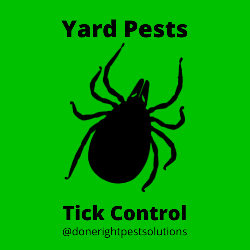 Image highlighting tick control services, ensuring a tick-free environment for you and your loved ones.