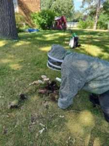 Image showcasing our tech Bryan removing a ground paper wasp nest, showing his care and attention to detail, keeping your yard happy and sting-free!