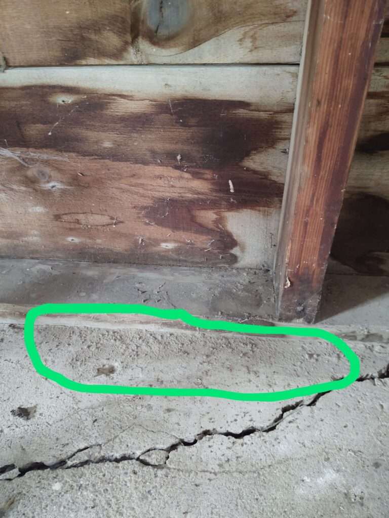 A photo of applied diatomaceous earth along the edge of the garage, indicating the correct amount and location of application of diatomaceous earth.