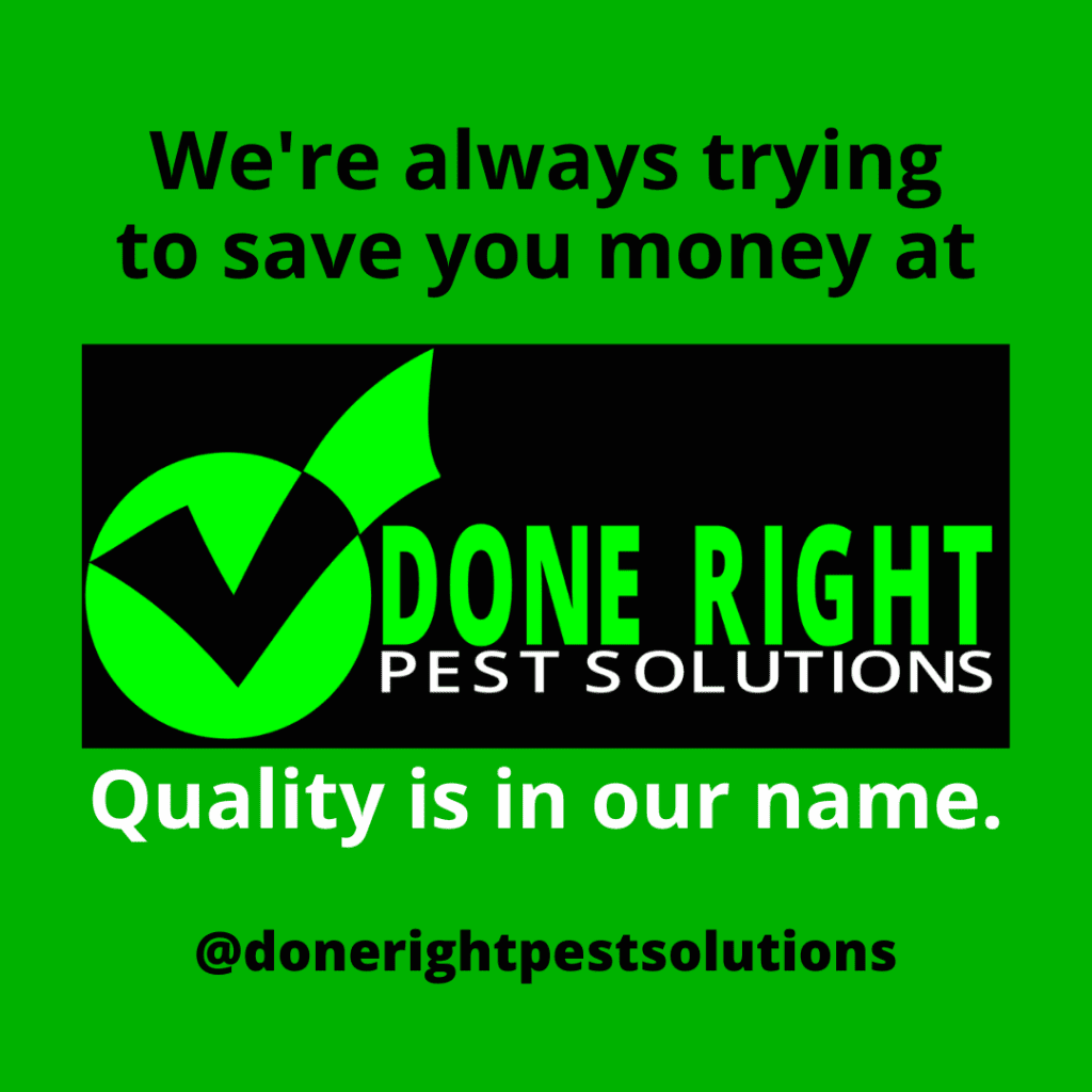 Graphic detailing information about local pest control with military discount.