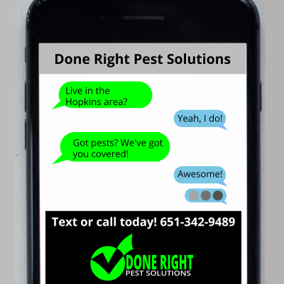 Image showcasing pest control services in Hopkins, MN, keeping your home pest-free and protected.