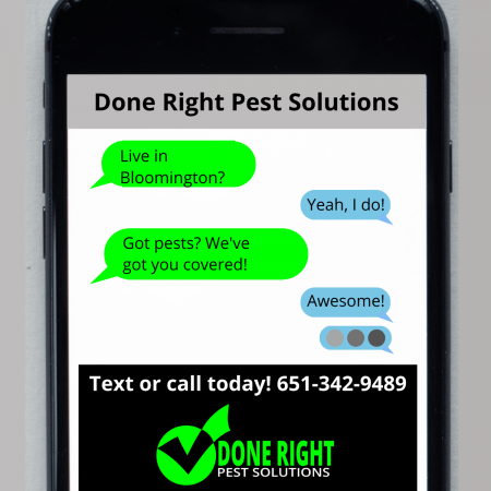 Image showcasing pest control services in Bloomington, MN, keeping your home pest-free and protected.