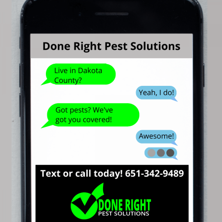 Image showcasing pest control services in Dakota County, MN, keeping your home pest-free and protected.