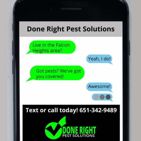 Image showcasing pest control services in Falcon Heights, MN, keeping your home pest-free and protected.