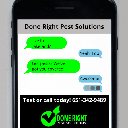 Image showcasing premier pest control services in Lakeland, MN, keeping your home pest-free and protected.