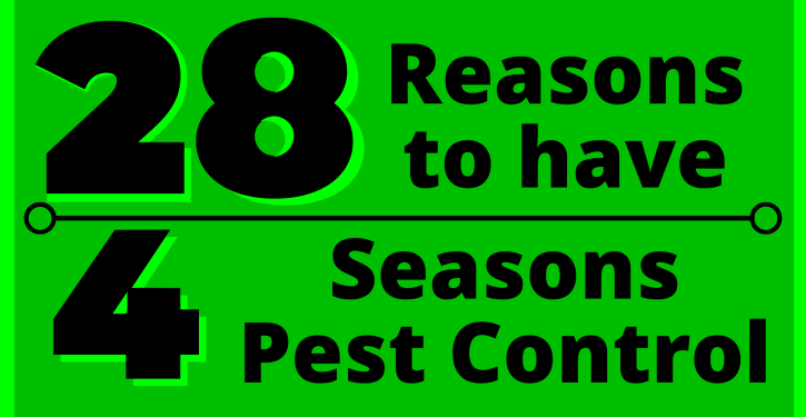 Image highlighting the benefits of proactive pest control, ensuring a pest-free and worry-free environment.